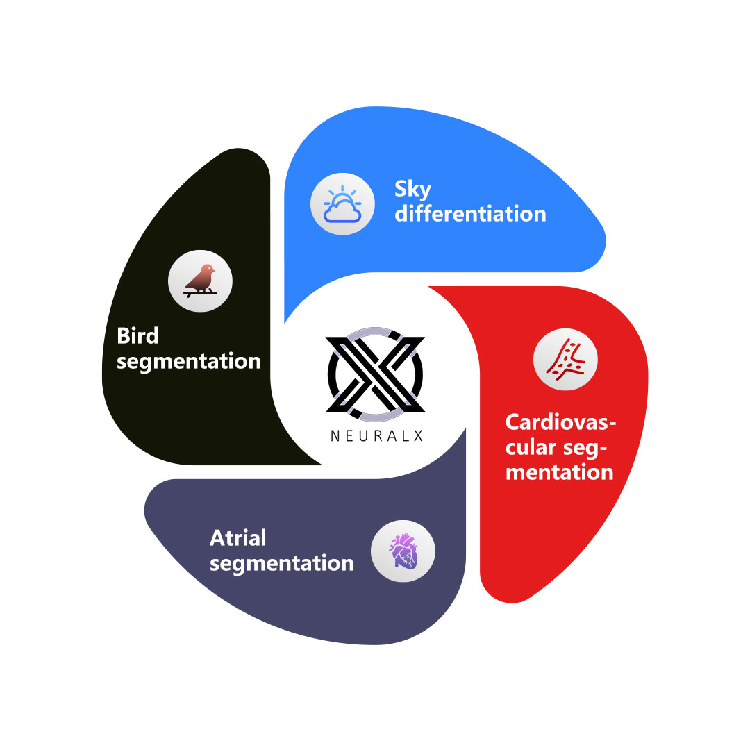 Semantic Segmentation
